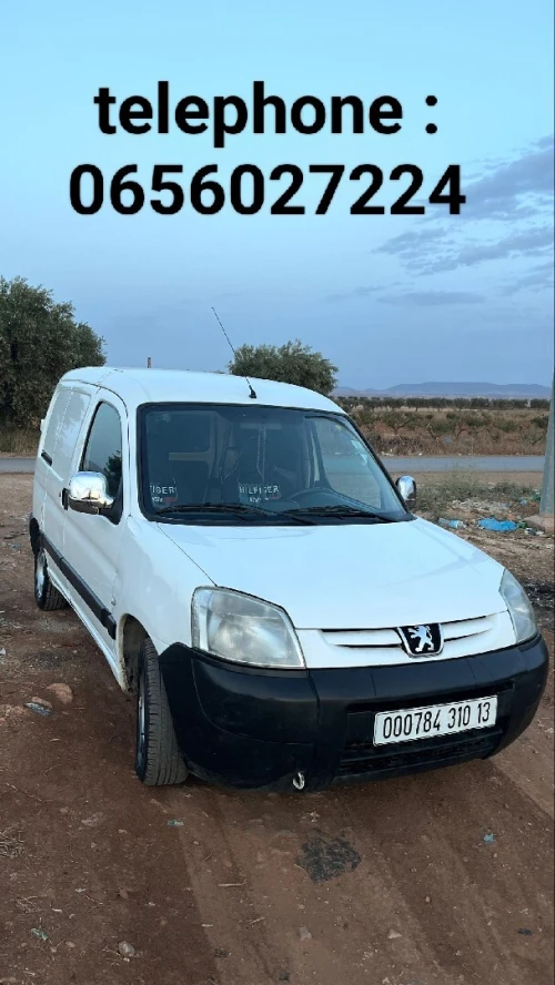 Peugeot Partner 2010 Partner