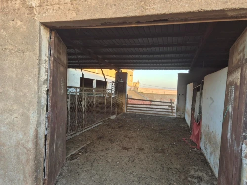 Vente Terrain Agricole Sidi Bel Abbès Sidi lahcene