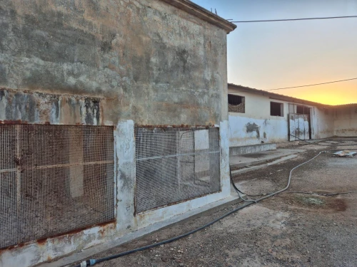 Vente Terrain Agricole Sidi Bel Abbès Sidi lahcene