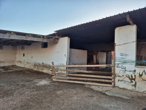Location Terrain Agricole Sidi Bel Abbès Sidi lahcene