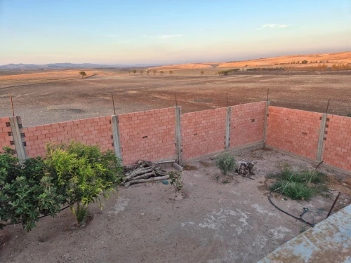Vente Terrain Agricole Sidi Bel Abbès Sidi lahcene