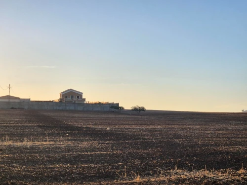 Vente Terrain Agricole Sidi Bel Abbès Sidi lahcene