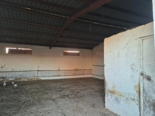 Vente Terrain Agricole Sidi Bel Abbès Sidi lahcene