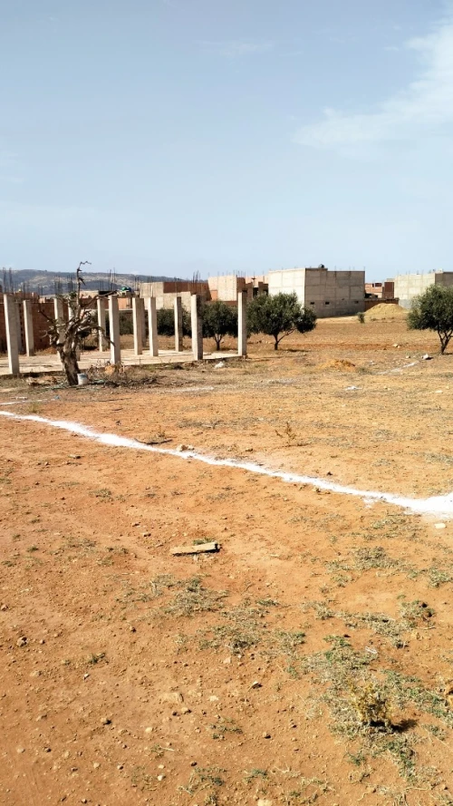 Vente Terrain Mostaganem Sayada