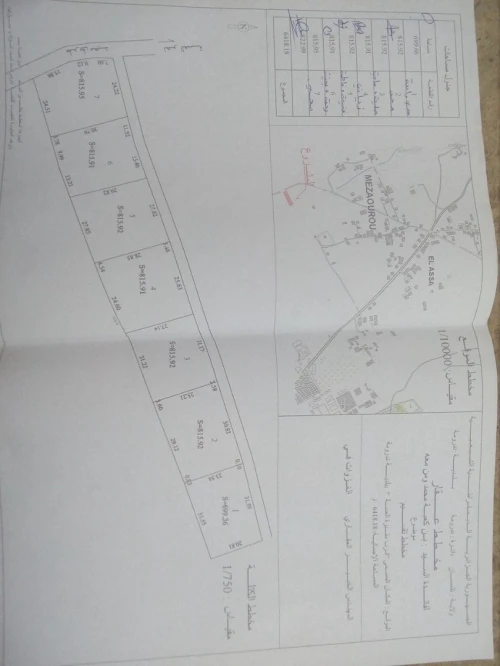 Vente Terrain Tlemcen Nedroma