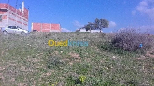 Vente Terrain Tlemcen Nedroma