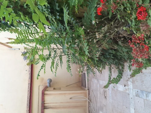 Location Villa Sétif Setif