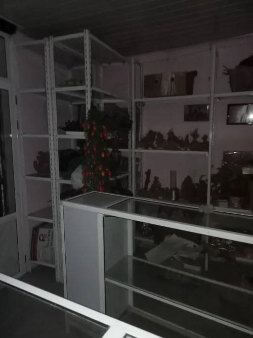 Vitrine+des étagères+2 Comptoir