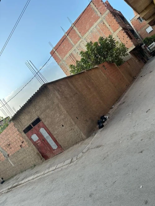 Vente Terrain Blida Larbaa