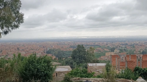 Vente Terrain Blida Ouled selama