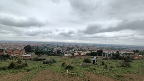 Vente Terrain Blida Ouled selama