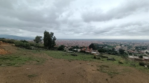 Vente Terrain Blida Ouled selama