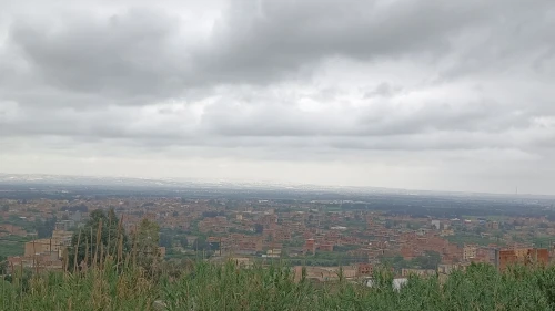 Vente Terrain Blida Ouled selama