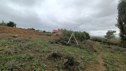 Vente Terrain Blida Ouled selama