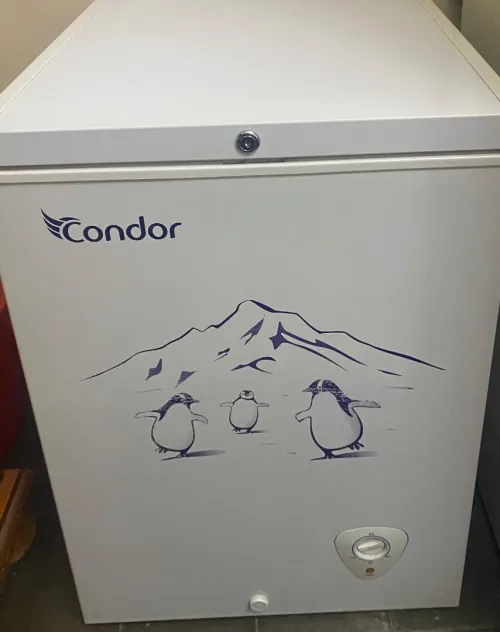 Congélateur condor