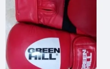 gants de box 