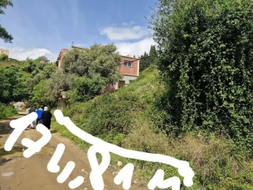 Vente Terrain Skikda Collo