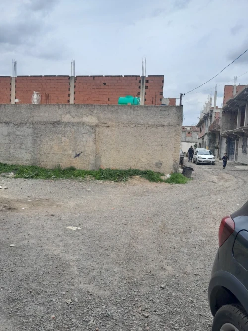 Vente Terrain Blida Ben khellil