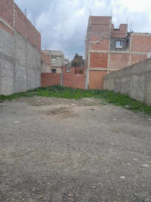 Vente Terrain Blida Ben khellil