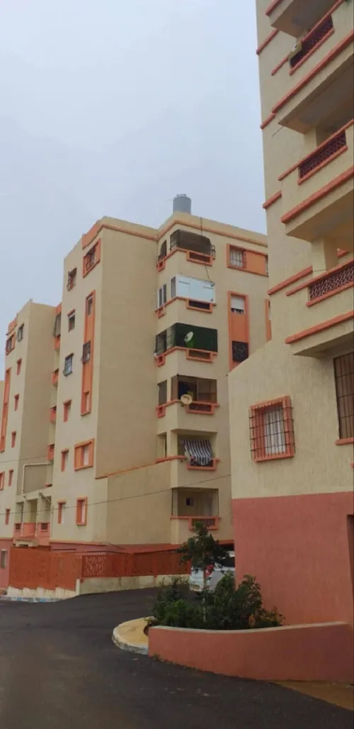 Vente Appartement F3 Chlef Chlef