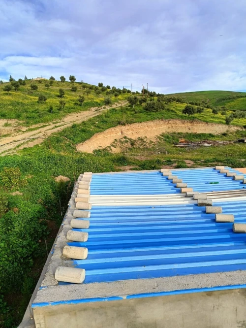 Vente Terrain Agricole Aïn Témouchent Ain kihal