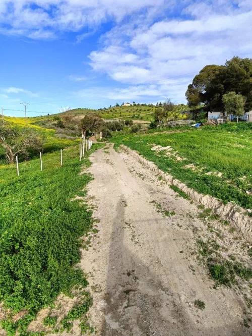 Vente Terrain Agricole Aïn Témouchent Ain kihal