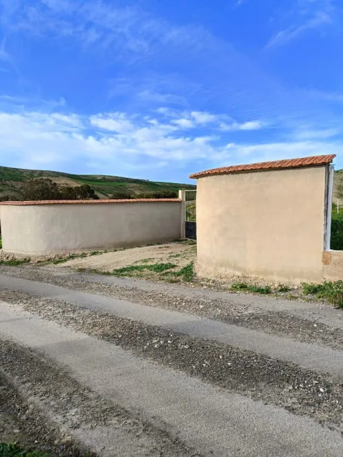 Vente Terrain Agricole Aïn Témouchent Ain kihal