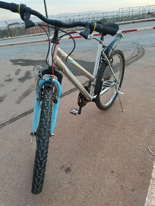 Vélo français