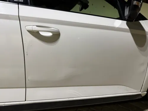Skoda Fabia 2018 Monte Carlo