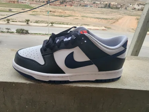 chaussure nike air dunk low original caba