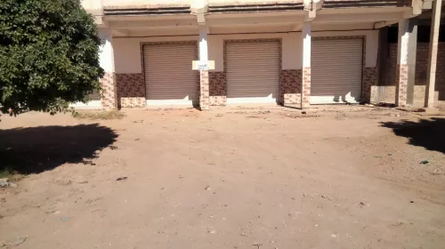 Location Biskra Tolga