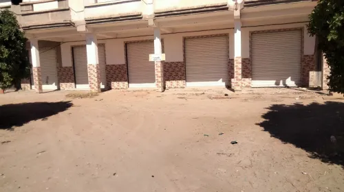 Location Biskra Tolga
