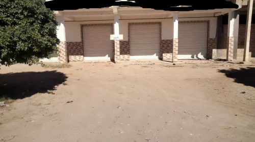 Location Biskra Tolga