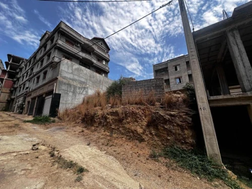 Vente Terrain Alger Saoula