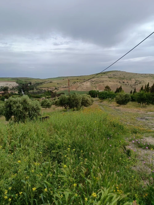 Vente Terrain Aïn Témouchent Ain kihal