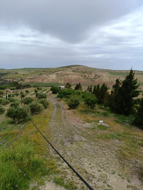 Vente Terrain Aïn Témouchent Ain kihal