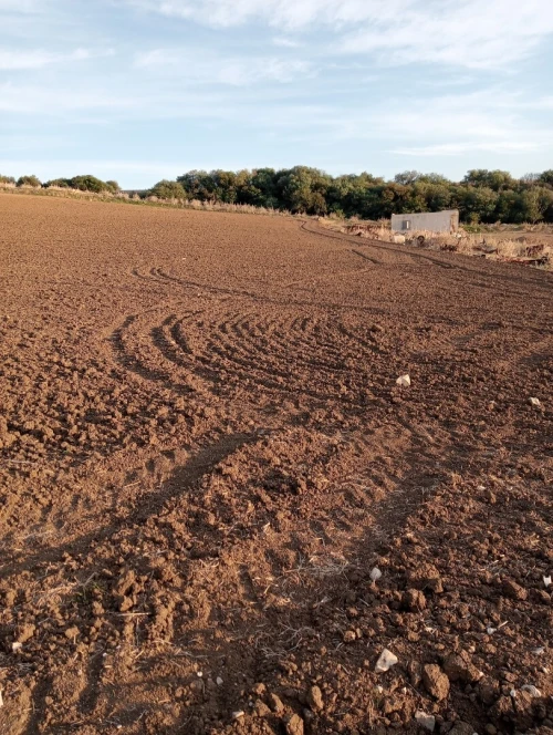 Vente Terrain Agricole Mila Telerghma