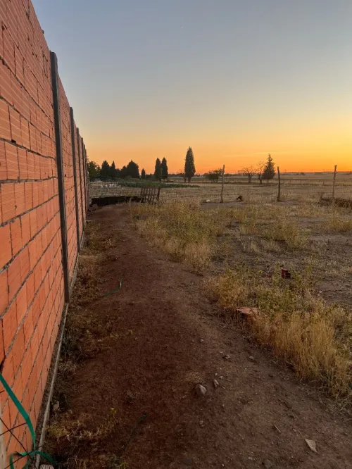Vente Terrain Sétif Guidjel
