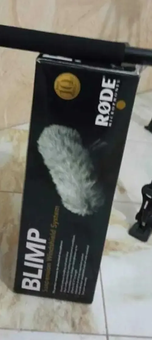 Microphone