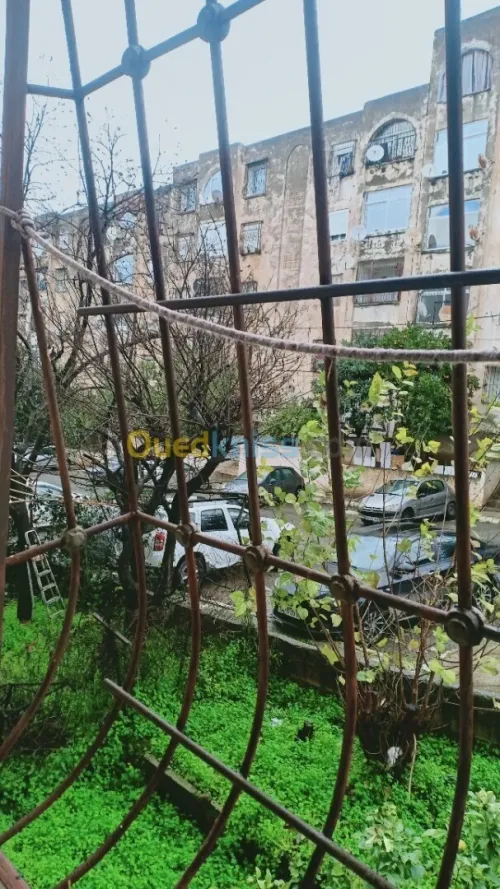 Location Appartement F3 Alger Draria