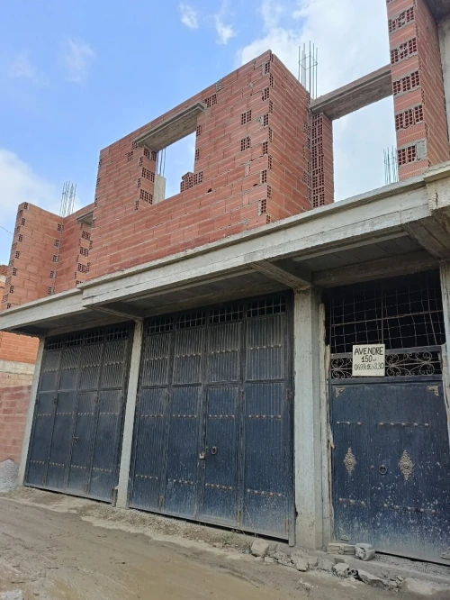 Vente Villa Blida Larbaa
