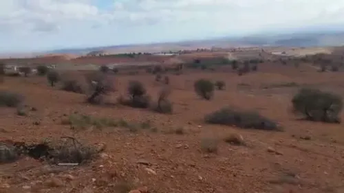 Vente Terrain Tlemcen Maghnia