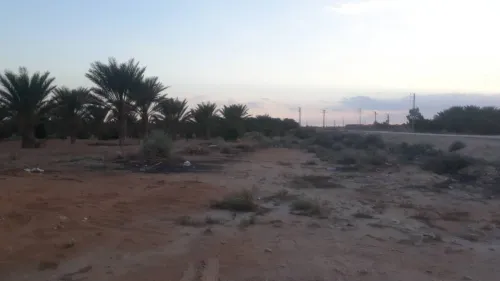 Vente Terrain Agricole Ouled Djellal Ouled Djellal