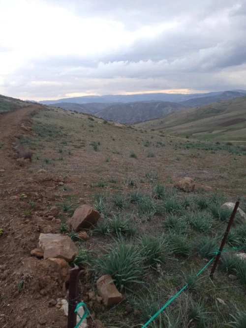 Vente Terrain Sétif Babor