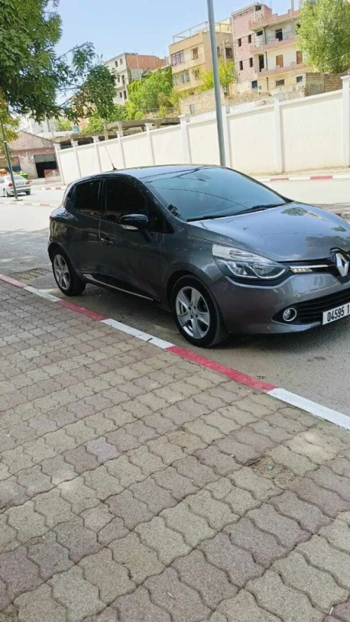 Renault Clio 4 2013 Exception