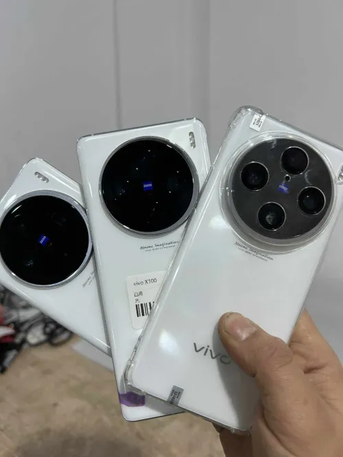 Vivo Vivo x100 (12,256) (16,512) vivo x100 pro (16,512)
