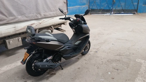 VMax Vmax 2022
