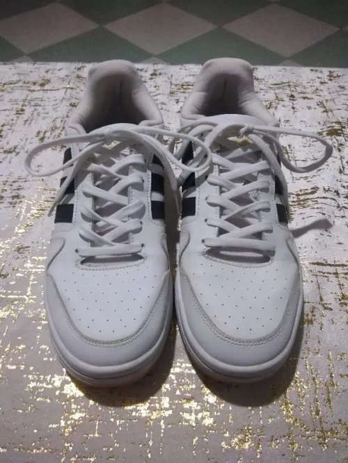 Chaussures basquettes Adidas 