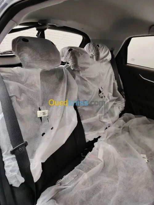 Livan X3 Pro  2026 Livan X3pro euro 6 FULL MANUAL