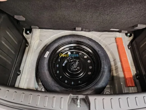 Livan X3 Pro  2026 Livan X3pro euro 6 FULL MANUAL